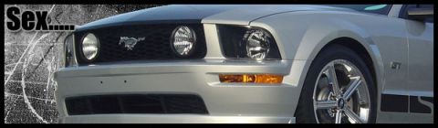 2000 Ford Mustang - The front fascia of a silver Ford Mustang is shown, its distinctive grille and headlights.