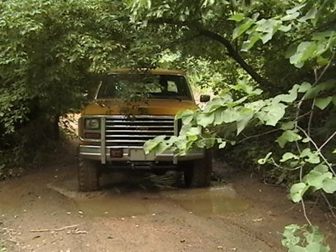 1986 Ford Bronco - A yellow SUV navigates a muddy trail under a canopy of green leaves.
