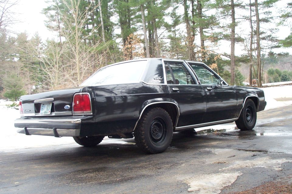 Black Ford sedan rear 3/4 view on wet road with pines and snow behind