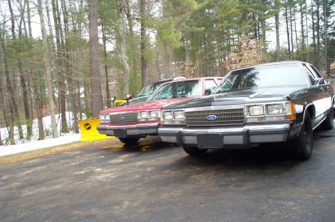 1991 Ford LTD Crown Victoria - Multiple Ford Crown Victorias are parked in a driveway with a wooded background and snow on the ground.