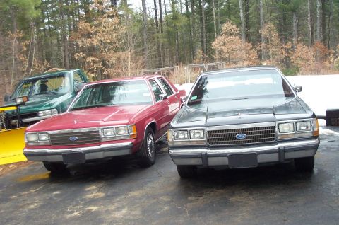 1991 Ford LTD Crown Victoria - Two Ford Crown Victorias and a green pickup truck with a snow plow are parked outside in a wooded area.