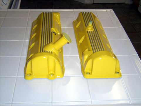 2002 Ford Mustang - Ribs painted aluminum just a little touchup needed then clearcoat them.