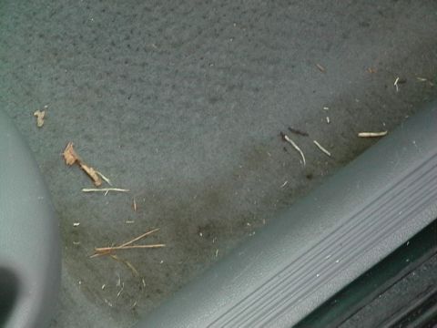 1995 Ford Contour - Debris on the interior floor mat of a vehicle, with the SuperMotors.net logo in the corner.