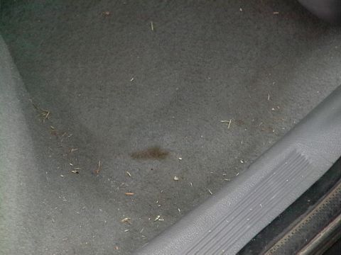 1995 Ford Contour - Close-up of a dirty car floor mat with debris and a stain. The Supermotors logo is visible at the bottom right.