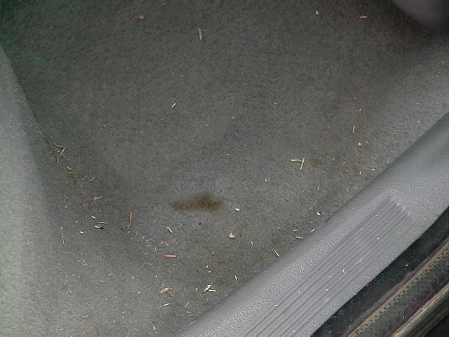 Car floor mat with dirt, grass, and a small stain. Plastic trim on the right