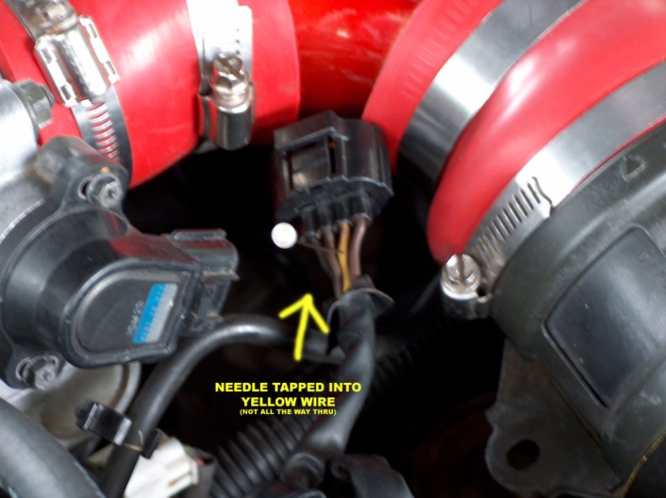 Engine bay connector with yellow arrow labeling a needle tapped into the yellow wire