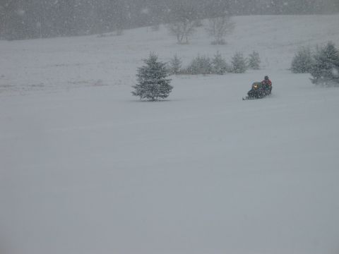 1990 Ford Mustang - A snowmobile travels across a snow-covered landscape with trees in the background during a snowstorm.