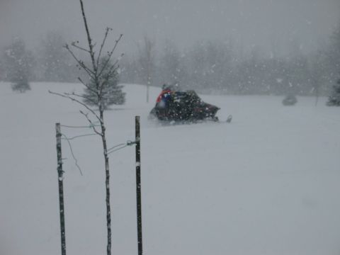 1990 Ford Mustang - A snowmobile navigates a snowy landscape during a snowfall, with trees visible in the distance.