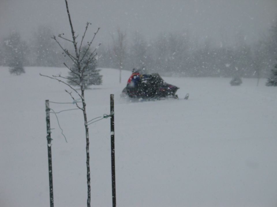 Snowmobile moving through snow with trees in background
