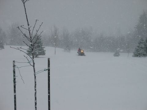 1990 Ford Mustang - A snowmobile navigates a snow-covered field during a snowfall.