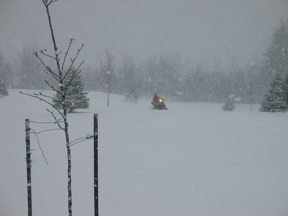 Snowmobile with headlight on driving through a snowy field with trees in the background