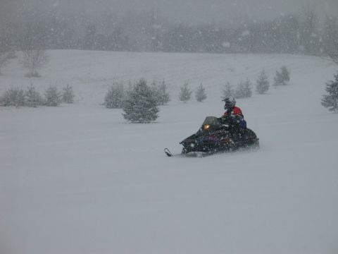 1990 Ford Mustang - A snowmobile navigates a snow-covered landscape during a snowfall.