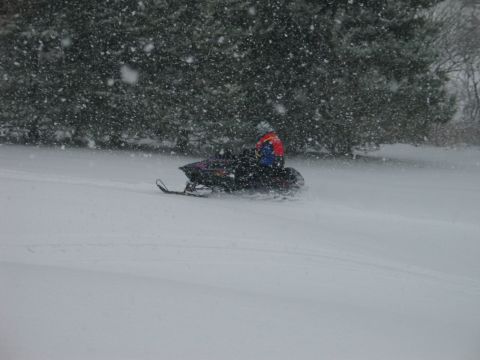 1990 Ford Mustang - A snowmobile travels across a snowy landscape during a snowfall, with trees in the background.