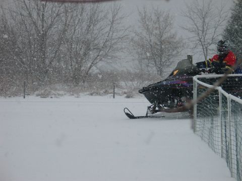 1990 Ford Mustang - A snowmobile with a rider is parked in a snowy field during a snowfall.