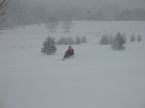 1990 Ford Mustang - A snowmobile navigates a snow-covered field during a snowfall.
