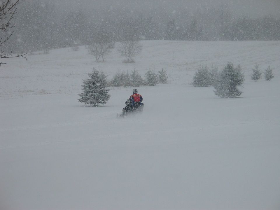 Snowmobile rider in a snowy field with trees and falling snow