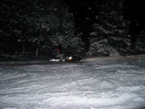 1990 Ford Mustang - A snowmobile travels through a snowy wooded area at night.