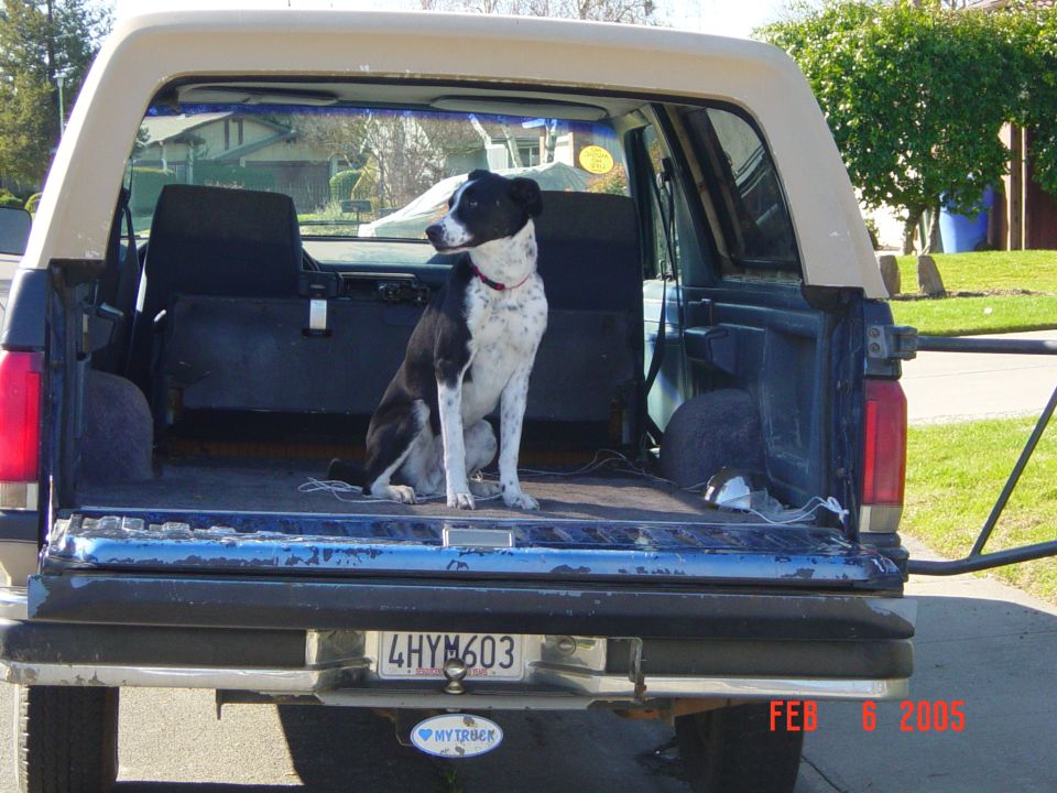 1988 Ford Bronco “The Truck”