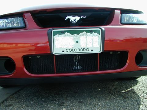 1979 Ford Bronco - Front view of a red car a running horse emblem on the grille and a cobra emblem below the lower grille, with a Colorado license plate.