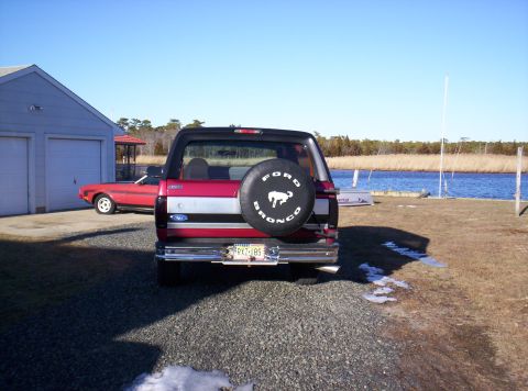 1995 Ford Bronco - Rear view of a 1995 Ford Bronco parked near a body of water, with another car visible.