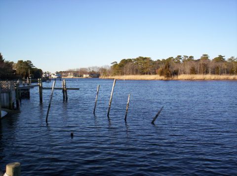 1995 Ford Bronco - A calm waterway with docks and pilings, bordered by trees and houses, under a bright blue sky.