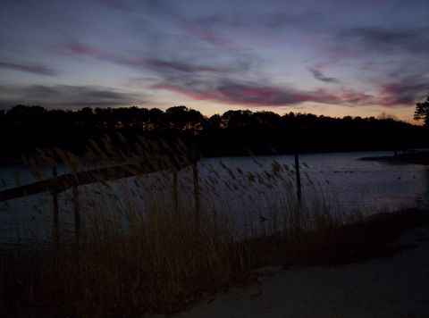 1995 Ford Bronco - A tranquil waterscape at twilight, with tall reeds in the foreground and a colorful sky above.