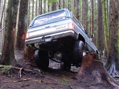 1991 Ford Bronco - Chevrolet K5 Blazer off-road in a dense forest, showing its rear end and large tires.