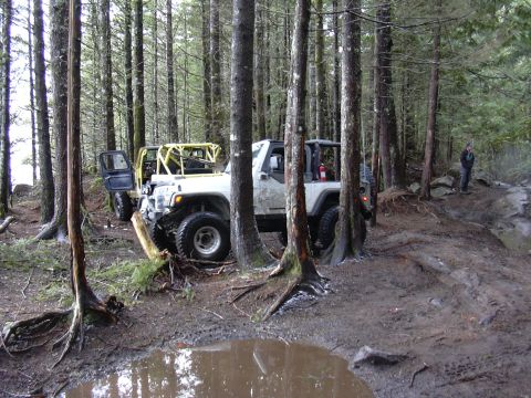 1991 Ford Bronco - Lunch break at Index Lookout