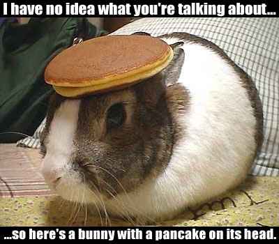 1993 Ford Bronco - This image features a bunny with a pancake balanced on its head, accompanied by text that reads 'I have no idea what you're talking about..…