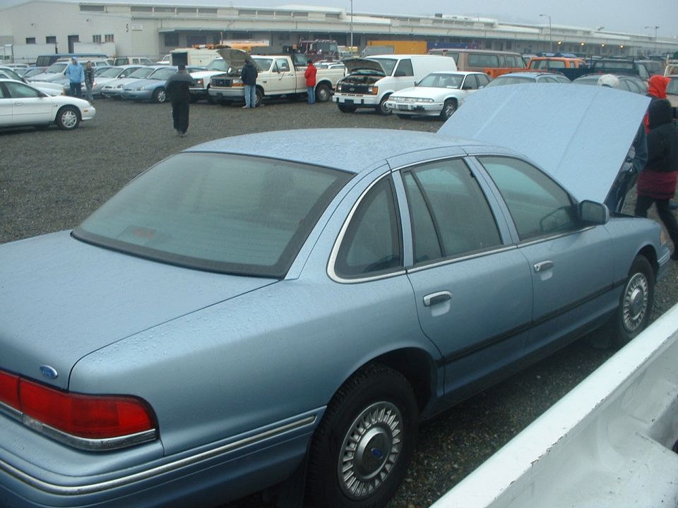 Light blue 1999 Ford Crown Victoria parked in an outdoor lot with hoods open on other vehicles