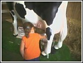 1993 Ford Bronco - A person is shown milking a cow model.