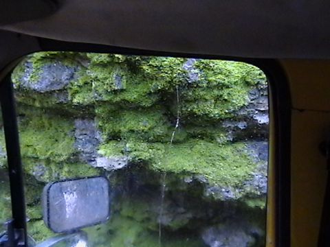 1986 Ford Bronco - View of a moss-covered rock wall from inside a vehicle, showing a side mirror.