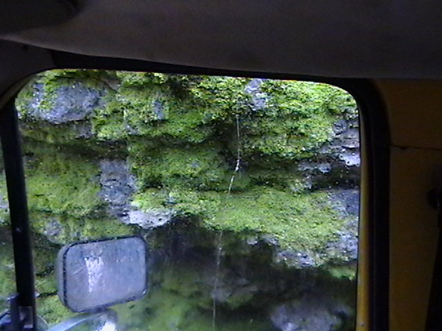 Mossy rock face viewed through a vehicle's side window, with a side mirror visible