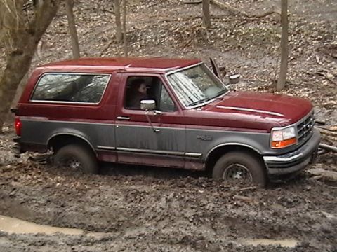 1986 Ford Bronco - This two-tone Ford Bronco is deep in the mud, with trees and foliage surrounding it.