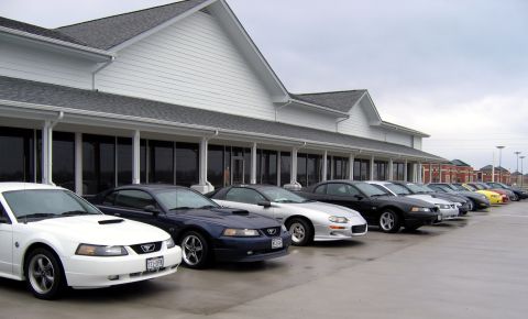 2000 Ford Crown Victoria - A line of Ford Mustangs are parked outside a building, with the white model in the foreground.