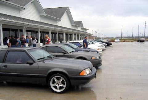 2000 Ford Crown Victoria - A line of Ford Mustangs are parked outside a building on a cloudy day.