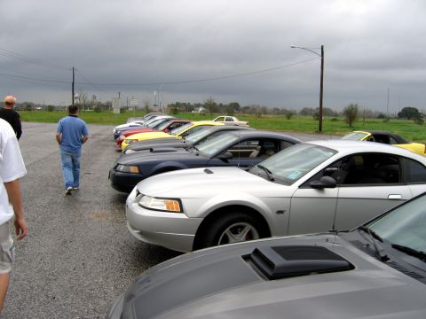 2000 Ford Crown Victoria - Several Ford Mustangs are lined up in a parking lot on a gloomy day.