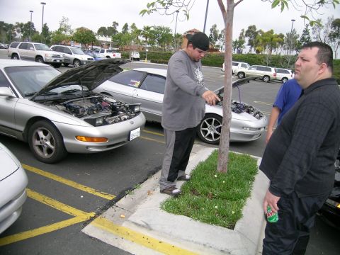1993 Ford Probe - Several silver Ford Probes are gathered, their hoods open, in a parking lot.