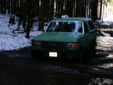 1978 Ford Bronco - Kellys Bronco