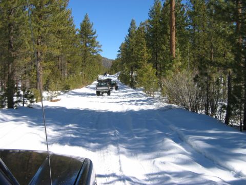 1985 Ford Bronco - A convoy of SUVs navigates a snowy path in a dense pine forest under a clear blue sky.