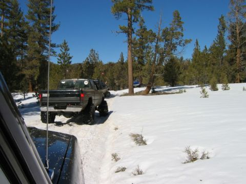 1985 Ford Bronco - A dark pickup truck navigates a snow-covered trail through a wooded area.