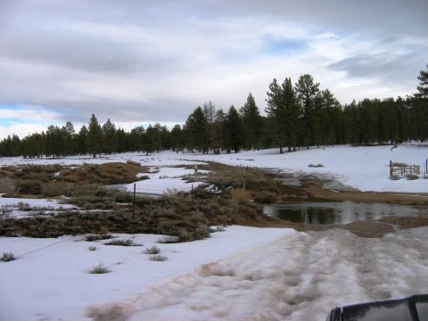 1985 Ford Bronco - Winter scene with snow-covered ground, trees, and a partially frozen body of water.