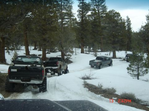 2000 Ford F-450 - Several trucks navigate a snow-covered road through a forest, with one truck in the foreground and others further down the path.