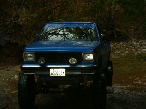 1990 Ford Bronco - This blue pickup truck is navigating through a watery, wooded area.