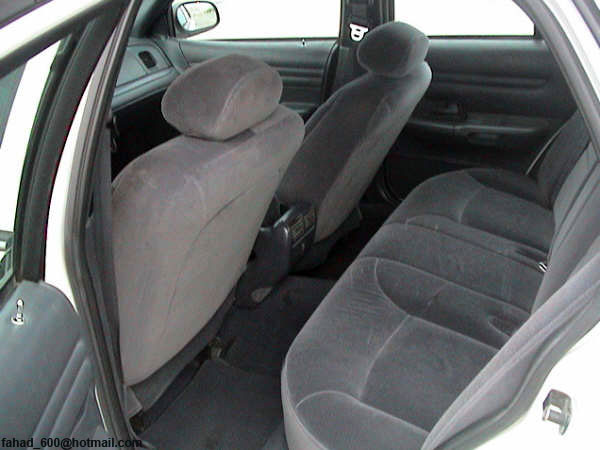 Interior view of a car's back seat and door panel
