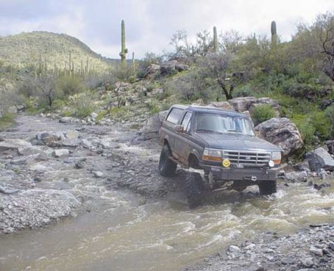 1989 Ford Bronco - A Ford Bronco navigates a shallow, rocky riverbed amidst a desert environment with saguaro cacti.