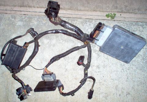 1994 Ford Crown Victoria - EEC harness - NO damage. EEC (A4J2) & EDIS8 available separately.