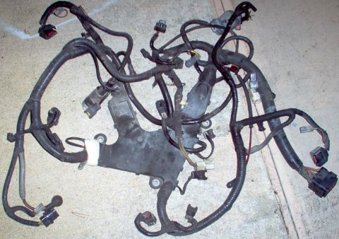 1994 Ford Crown Victoria - Engine harness - NO damage.