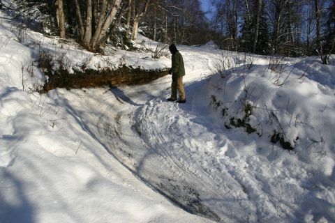 2003 Jeep TJ - A person stands on a snowy path in a wooded area, with tire tracks visible in the snow.
