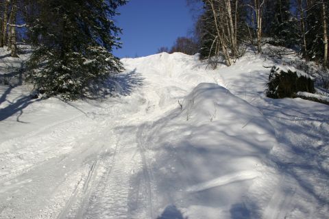 2003 Jeep TJ - A snow-covered hill shows tire tracks, suggesting recent vehicle activity in a wooded area.